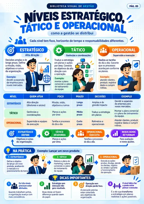 Amostra: Níveis estratégico, tático e operacional